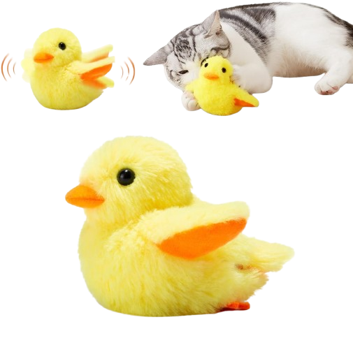 Pacchetto natalizio esclusivo - Solo per oggi!