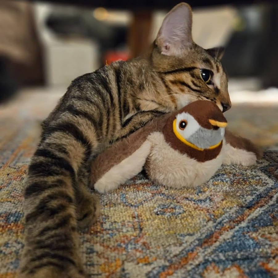 FlappyChase™ Interactive Catnip Bird Toy