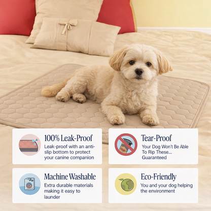 DoggyPad™ - The Last Pee Pad You'll Get MUTUAL