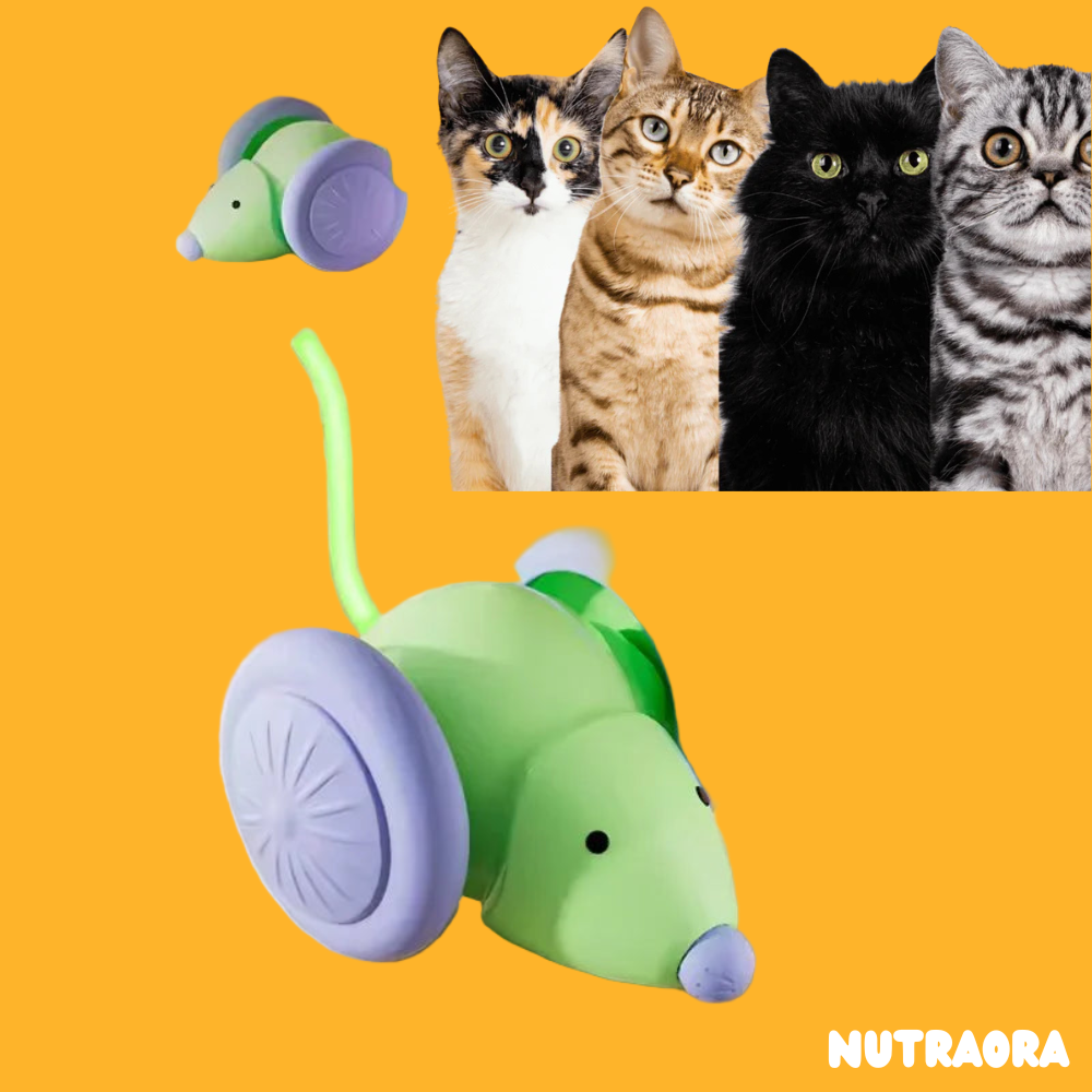 Magic Mouse Bestseller