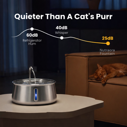 The Nutraora™ Health & Happiness Cat Kit