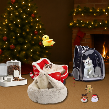 Pacchetto natalizio esclusivo - Solo per oggi!