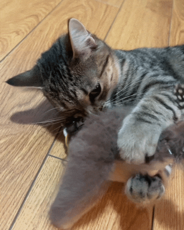 FlappyChase™ Interactive Catnip Bird Toy