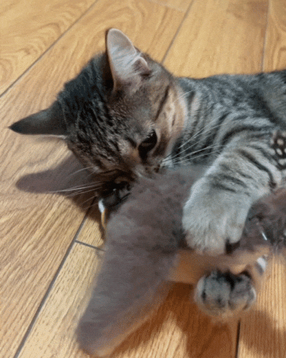 FlappyChase™ Interactive Catnip Bird Toy