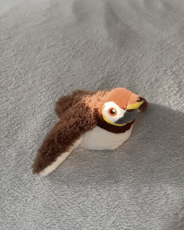 FlappyChase™ Interactive Catnip Bird Toy