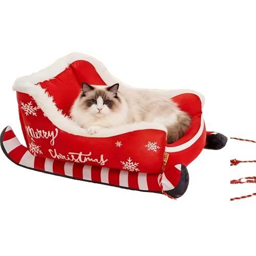 Pacchetto natalizio esclusivo - Solo per oggi!