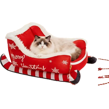 Pacchetto natalizio esclusivo - Solo per oggi!