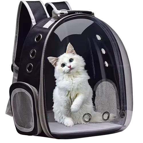 Pacchetto natalizio esclusivo - Solo per oggi!