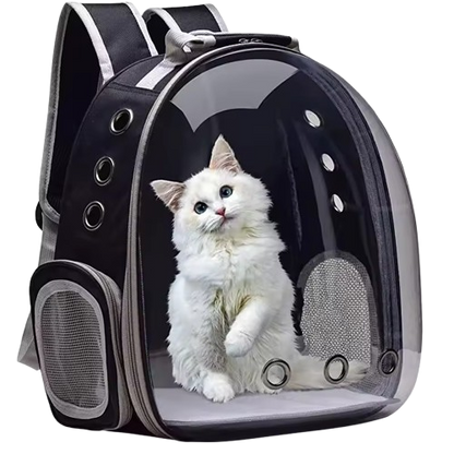 Pacchetto natalizio esclusivo - Solo per oggi!