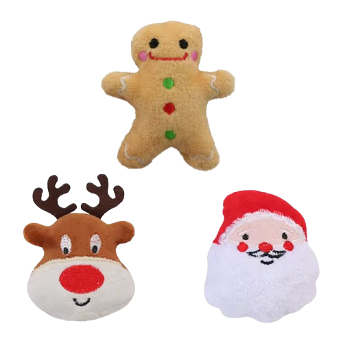 Pacchetto natalizio esclusivo - Solo per oggi!