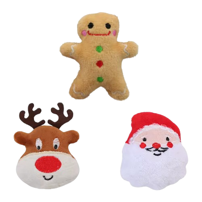 Pacchetto natalizio esclusivo - Solo per oggi!