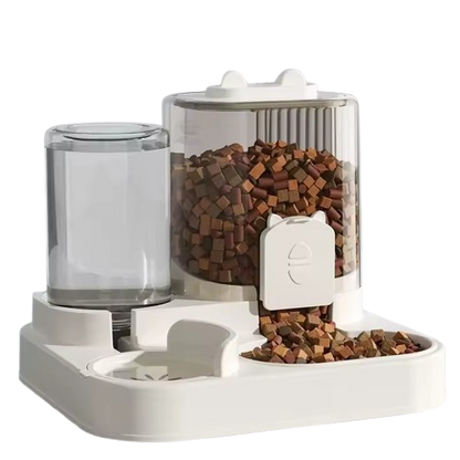 Pacchetto natalizio esclusivo - Solo per oggi!