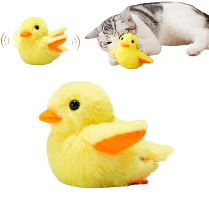 Pacchetto natalizio esclusivo - Solo per oggi!