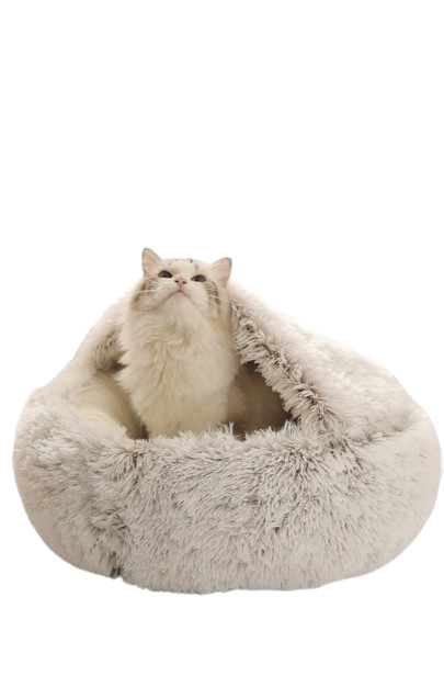 Pacchetto natalizio esclusivo - Solo per oggi!